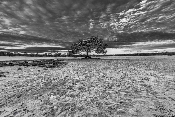 Landschap 18