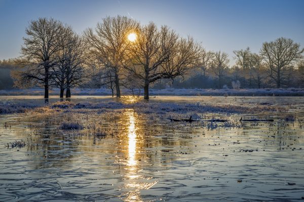 Landschap 19