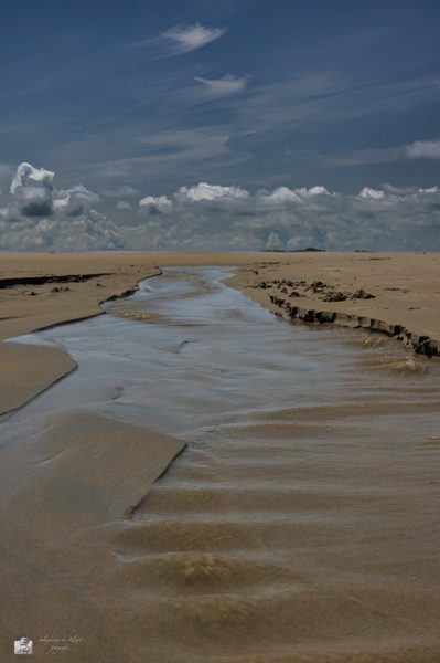 Landschap 25