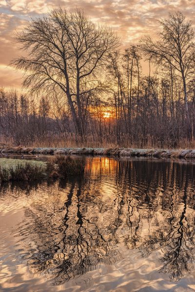 Landschap 33