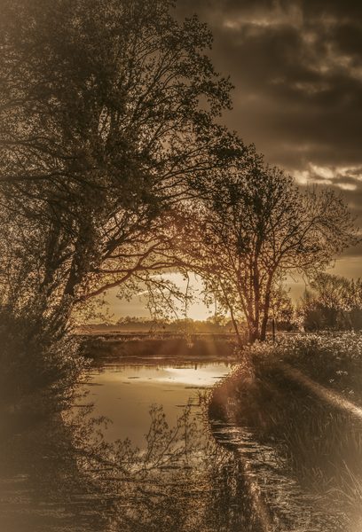 Landschap 37