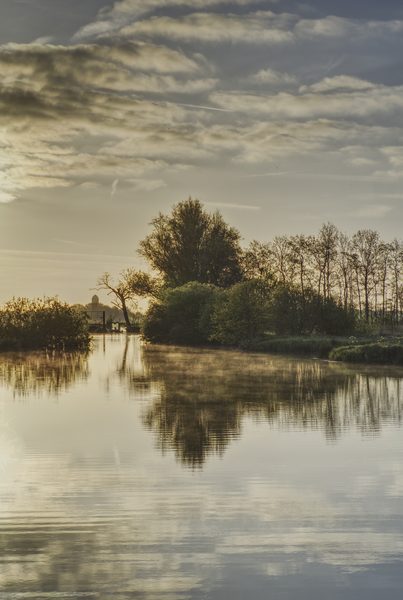 Landschap 43